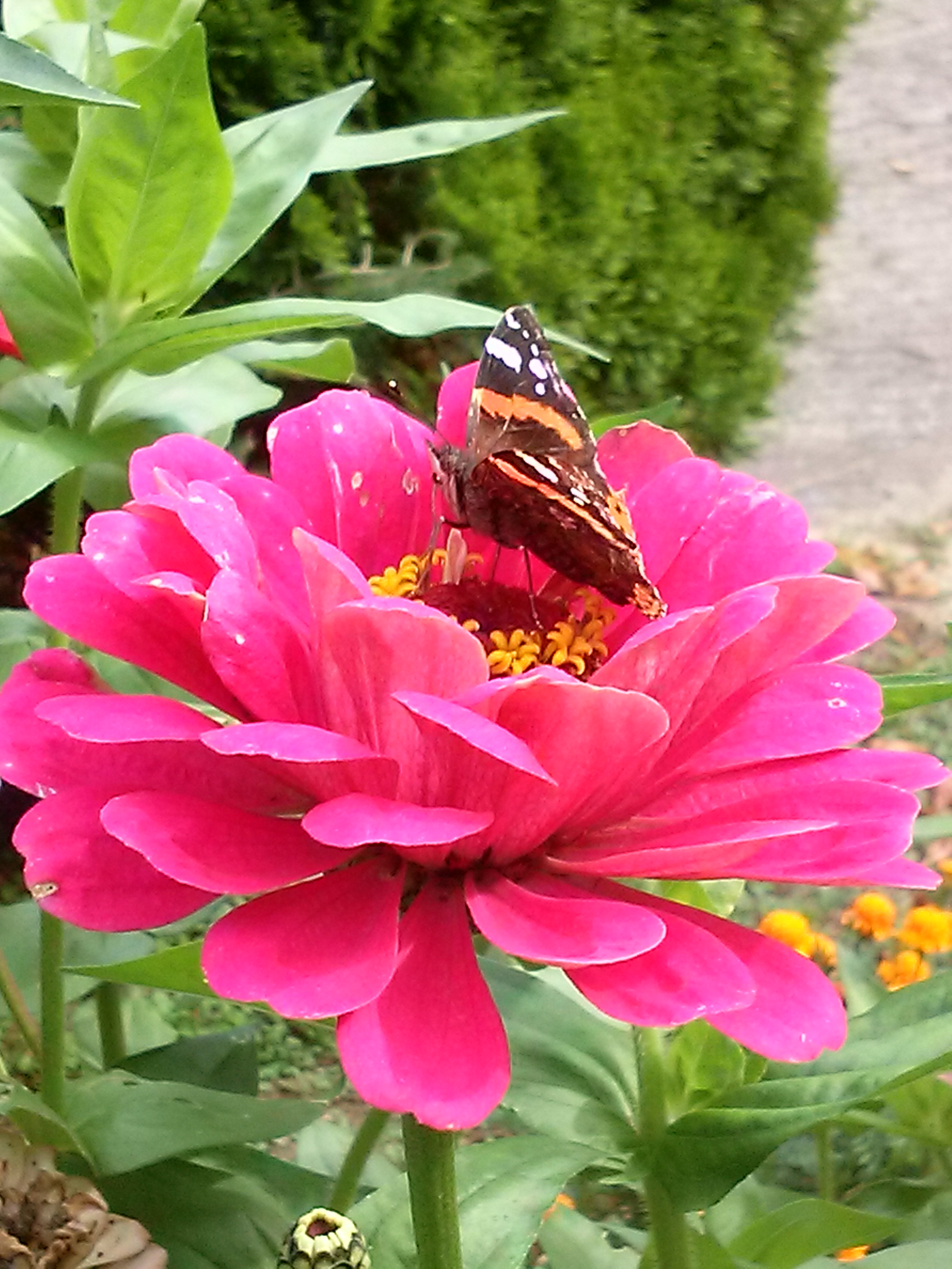 Cursus Mindfulness bij NAH in Eindhoven-Nuenen cursus-mindfulness-praktijk-namaste-eindhoven-nuenen